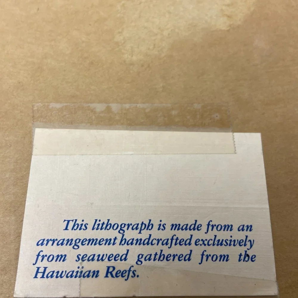 Original Litbograph Handcrafted Seaweed  Hawaiian Reefs